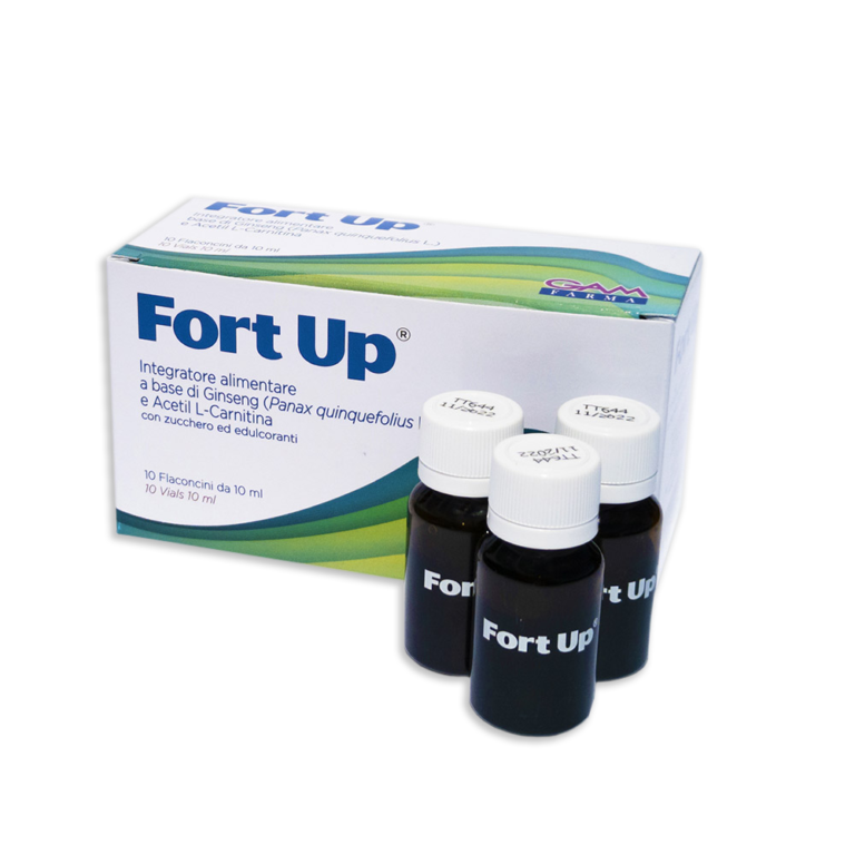 fort-up